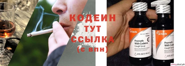 PSILOCYBIN Кукмор