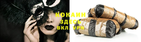 PSILOCYBIN Кукмор