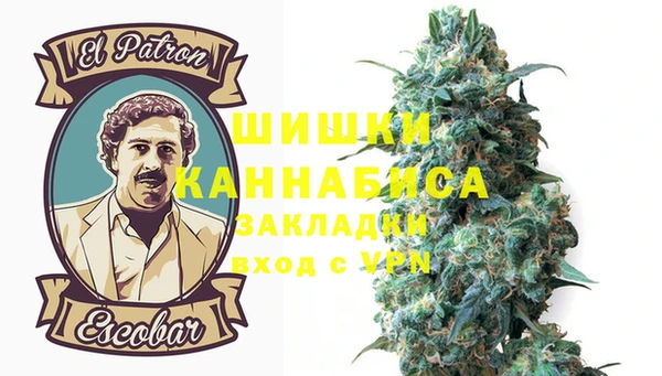 PSILOCYBIN Кукмор