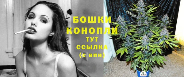 PSILOCYBIN Кукмор